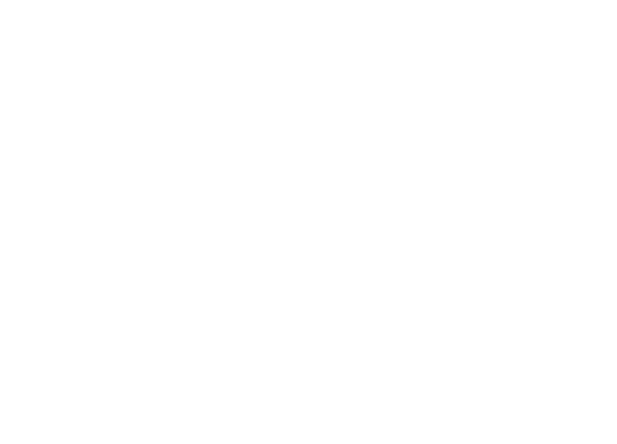 Villa Bria logo
