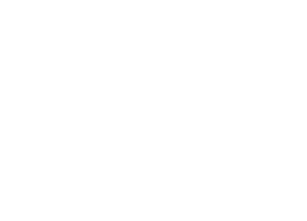 Villa Sassi logo